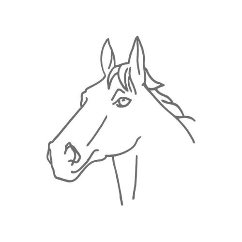 Paard afbeelding Paard afbeelding